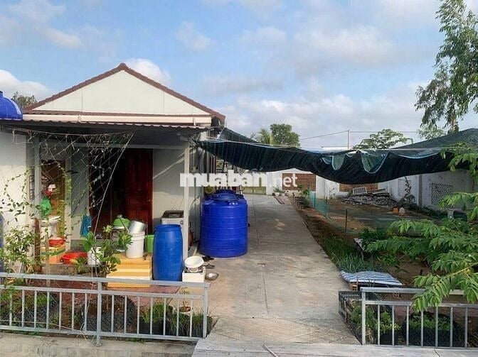 CĂN NHÀ VƯỜN SIÊU RỘNG 570M ĐẸP 900 TRIỆU THƯƠNG LƯỢNG