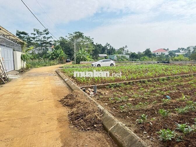 LÔ GÓC, TĐC VAI RÉO 100M2 FULL, CHỈ 3,X TỶ