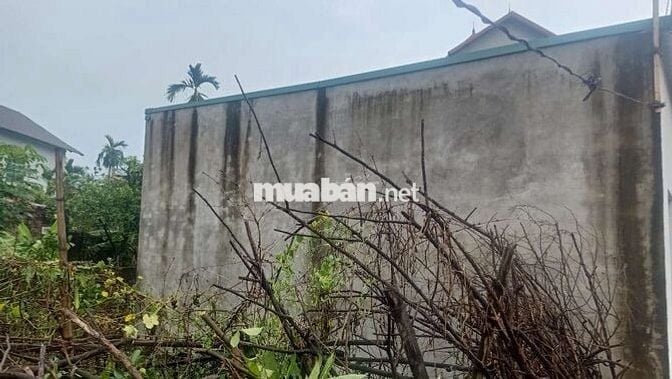 Bán nhà - Đại Mạch - Đông Anh - 45m- nhỉnh 3 tỷ