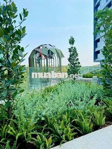 15TR | ALNATA VIEW CỰC MÁT MẺ | GIÓ MÁT NẮNG SÁNG SẢN PHẨM TỐT