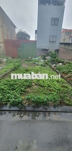 BÁN ĐẤT ĐẠI MẠCH – ĐÔNG ANH |   – GẦN CẦU THƯỢNG CÁT -57,6m - 3,35 TỶ