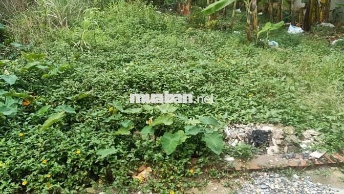 ĐẠI MẠCH - ĐÔNG ANH - HƠN 40M - NGÕ THÔNG - Ô TÔ TRÁNH - HƠN 3 TỶ