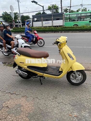 Elizabet xăng cơ máy êm