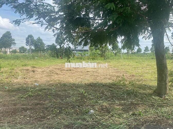 Kẹt tiền bán gấp nền 80m2 đường chính Sài Gòn Village, giá ngộp