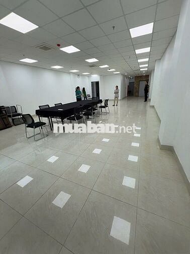 Cho thuê tòa nhà văn phòng Phổ Quang Tân Bình. Hầm 7 tầng, giá tốt