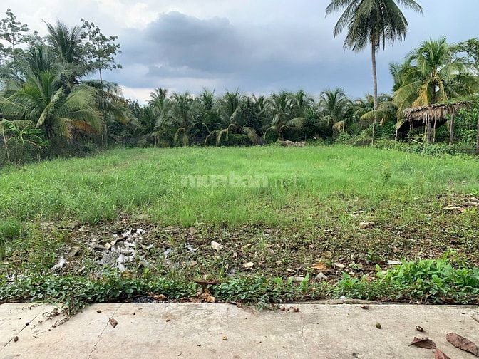 NỀN THỔ CƯ ĐƯỜNG Ô TÔ GẦN QUÓC LỘ 50 SAU TRỤ SỞ TIẾP DÂN TỈNH