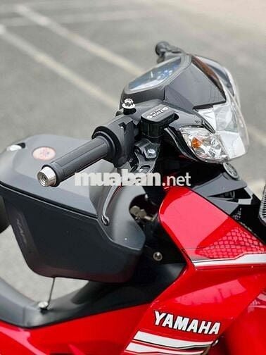 Sirius zin dọn kiểng dáng thư sinh