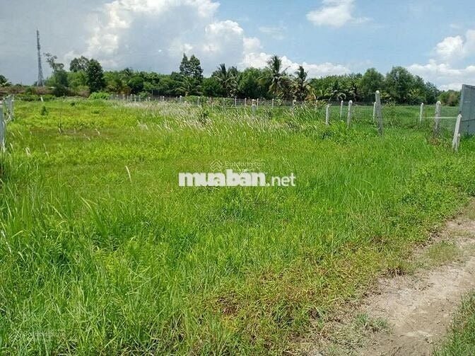 ĐẤT VƯỜN GIÁ TỐT KHU VỰC GÒ DẦU TÂY NINH, 1000M2 GIÁ 1 TỶ