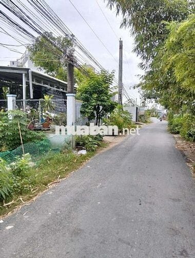 Bán Đất Thổ Cư Ấp Trung Xã Đông Thạnh