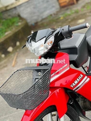 Sirius zin dọn kiểng dáng thư sinh