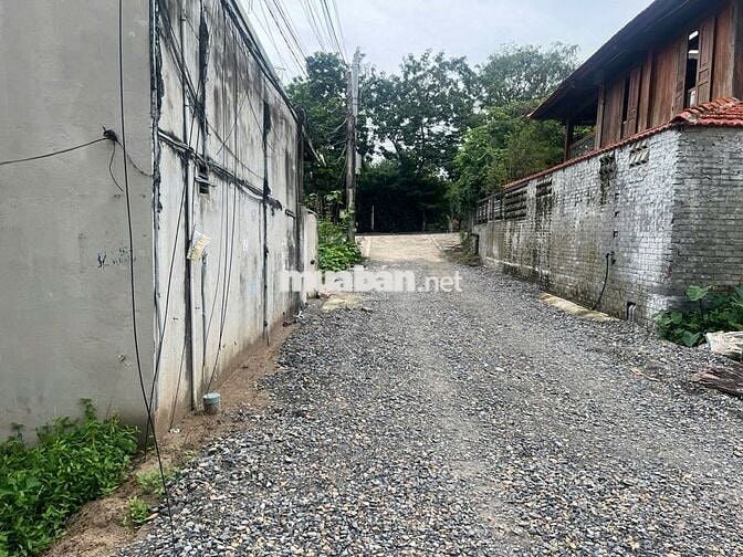 ĐẤT PHÂN MAI CHÂU, ĐẠI ĐỒNG 120M MẶT TIỀN 8M Ô TÔ TRÁNH CHỈ 11.8 TỶ