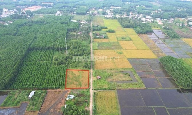 Cần bán 1794m2 đất phủ hồng đất ở, mặt tiền đường đan xe hơi đến 47m