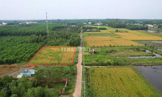 Cần bán 1794m2 đất phủ hồng đất ở, mặt tiền đường đan xe hơi đến 47m