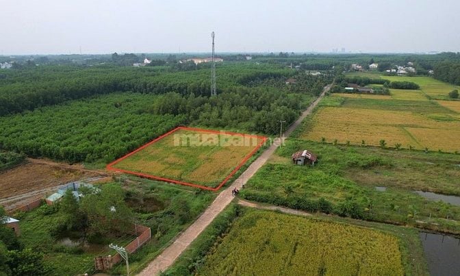 Cần bán 1794m2 đất phủ hồng đất ở, mặt tiền đường đan xe hơi đến 47m