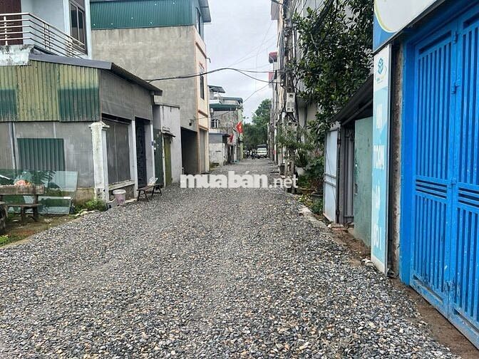 ĐẤT PHÂN MAI CHÂU, ĐẠI ĐỒNG 120M MẶT TIỀN 8M Ô TÔ TRÁNH CHỈ 11.8 TỶ