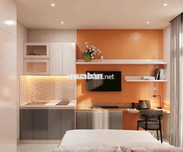 Chính Chủ Cho Thuê Căn Hộ Chung Cư ( 35m2 ) Phú Nhuận Studio Cao Cấp