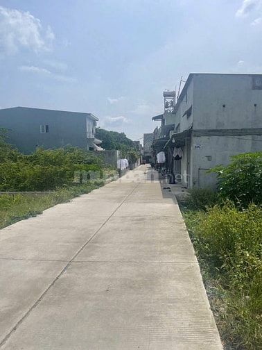 BÁN ĐẤT FULL THỔ VỊ TRÍ ĐẸP NGAY CHỢ VÌNH LỘC A - BÌNH CHÁNH