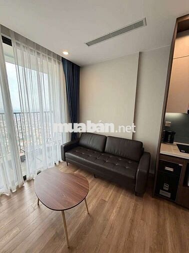 Căn hộ 2pn, full nội thất, Phan Huy Ích, phường 12, Gò Vấp, TPHCM