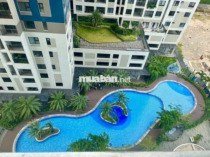 Giá chuyển nhượng căn hộ Charm City Dĩ An mới nhất tháng 11/2025