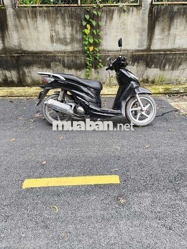 Shark bstp 9 nút gtdd