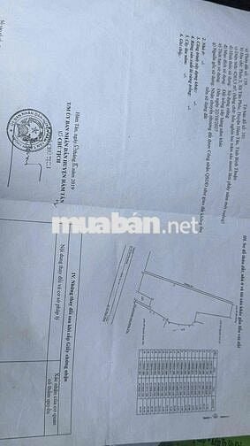 Dt 4467m2 có sổ hồng riêng 200m3,