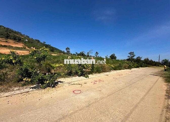 Ngân hàng thanh lý 3 lô đất liền kề tại Lộc Thành, Bảo Lâm, Lâm Đồng