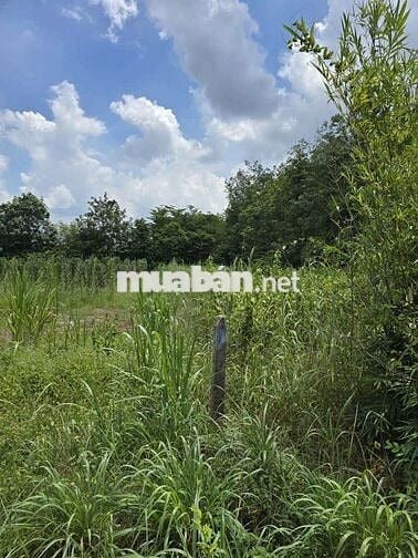 Tôi chính chủ cần bán lô đất full thổ cư xã An Nhơn Tây