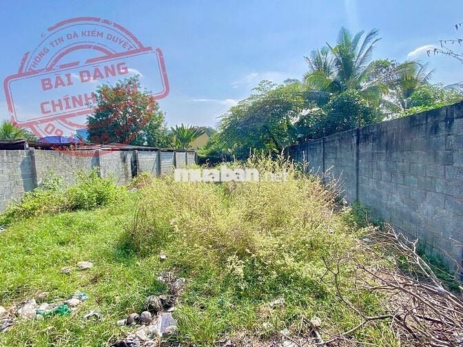 CHỦ NGỘP BÁN GẤP 347M² ĐẤT THỔ CƯ TÂN THÔNG HỘI, CỦ CHI GIÁ 720 TRIỆU