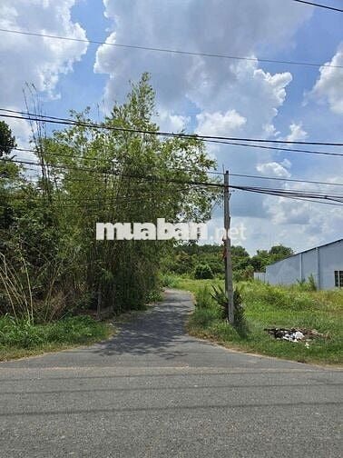 Tôi chính chủ cần bán lô đất full thổ cư xã An Nhơn Tây