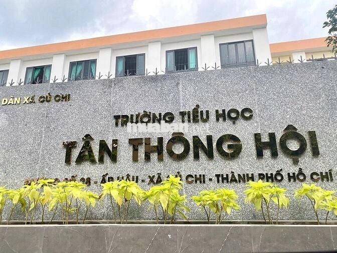 CHỦ NGỘP BÁN GẤP 347M² ĐẤT THỔ CƯ TÂN THÔNG HỘI, CỦ CHI GIÁ 720 TRIỆU