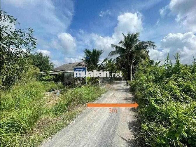 Bán đất tại xã Bình Đức, Bến Lức, Long An. DT: 176m2, Giá cực rẻ!