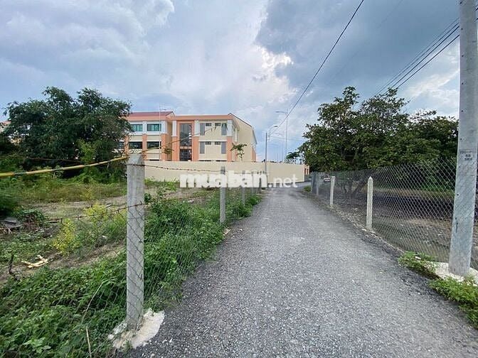 CHỦ NGỘP BÁN GẤP 347M² ĐẤT THỔ CƯ TÂN THÔNG HỘI, CỦ CHI GIÁ 720 TRIỆU