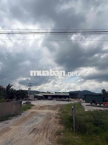 Dt 4467m2 có sổ hồng riêng 200m3,