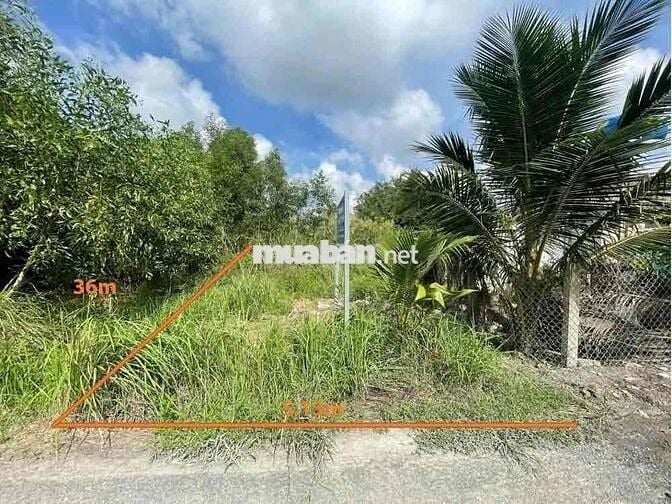 Bán đất tại xã Bình Đức, Bến Lức, Long An. DT: 176m2, Giá cực rẻ!