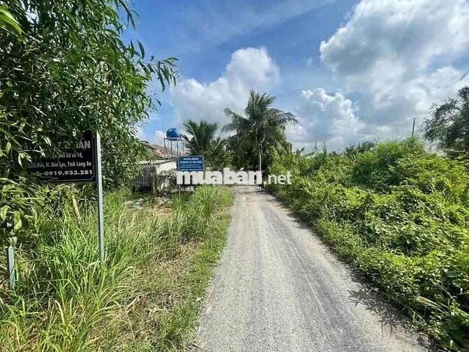 Bán đất tại xã Bình Đức, Bến Lức, Long An. DT: 176m2, Giá cực rẻ!