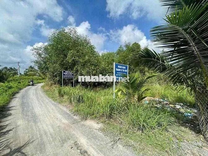 Bán đất tại xã Bình Đức, Bến Lức, Long An. DT: 176m2, Giá cực rẻ!