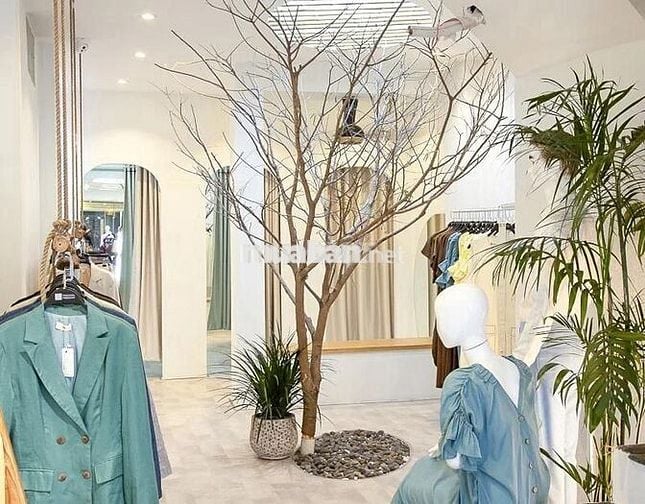 🌟Cho thuê nhà MT Nguyễn Trãi Q1 – 4x26m nở hậu, 1T2L, giá 115tr/tháng!