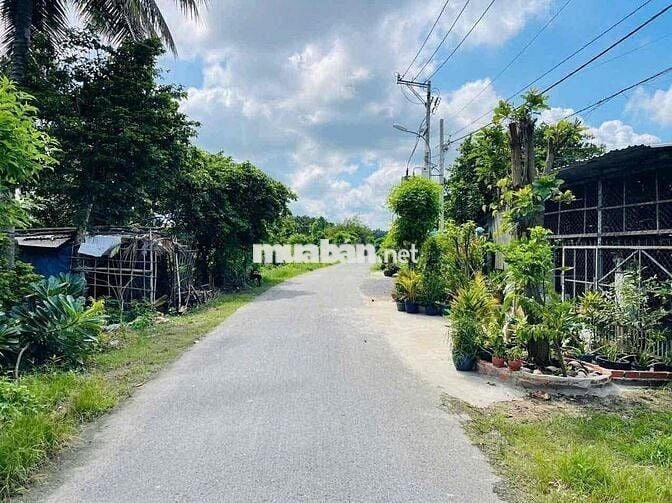 🌳 BÁN LÔ ĐẤT ĐẸP 510m2 – MẶT TIỀN NGUYỄN THỊ THẠO, CỦ CHI 🌳