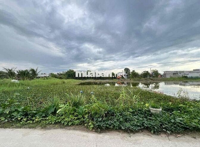 Đất Ngộp Đức Hoà Đông 5x24m giá 1ty150 đường bê tông