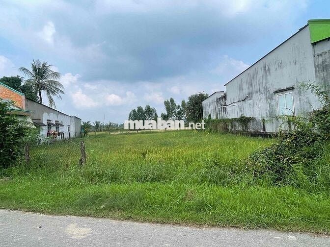 BÁN ĐẤT VƯỜN 1/ CÂY TRÔM MỸ KHÁNH - CHỈ 3TR/M2 - SHR