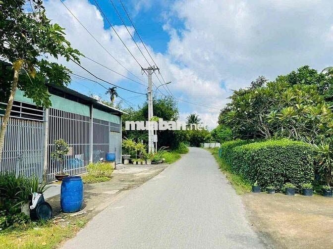 🌳 BÁN LÔ ĐẤT ĐẸP 510m2 – MẶT TIỀN NGUYỄN THỊ THẠO, CỦ CHI 🌳