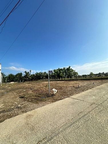 🏡 ĐẤT NỀN NAM HOÀ KHƯƠNG – VỊ TRÍ ĐẸP, GIÁ CHỈ 760 TRIỆU/NỀN!