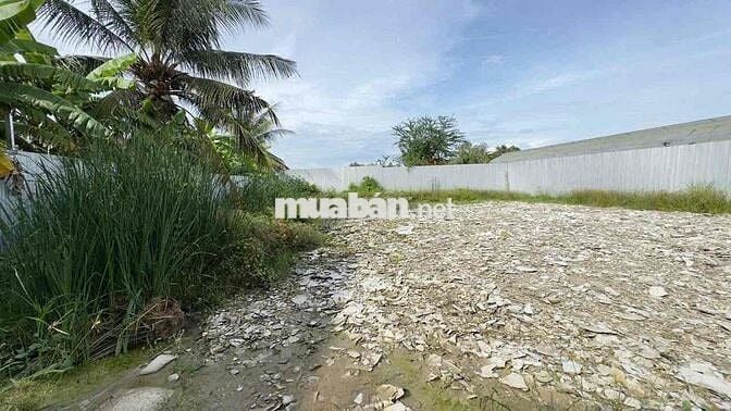 🏡 Bán Đất Mặt Tiền Đường Bà Kiểu 890M2 _ Đường TÂN TẬP & LONG HẬU