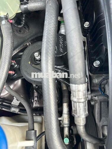 Seodona 2018 full dầu