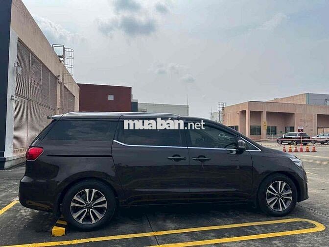 Seodona 2018 full dầu