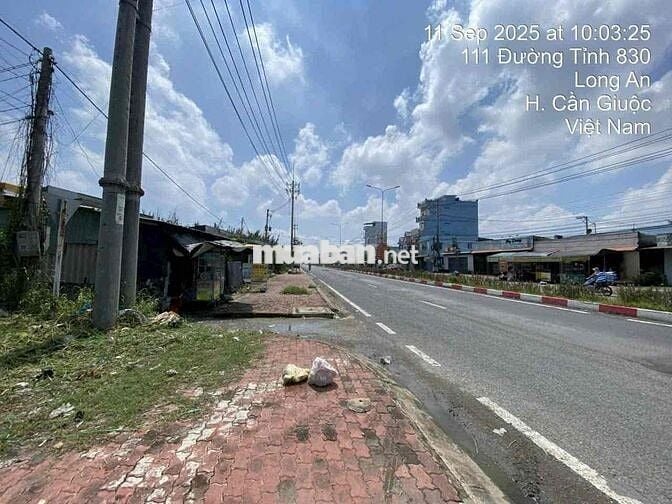 🏡 Bán Đất Mặt Tiền 830 _ Gần Cảng Quốc Tế _ DT 1100m2 _ CÓ ĐẤT Ở