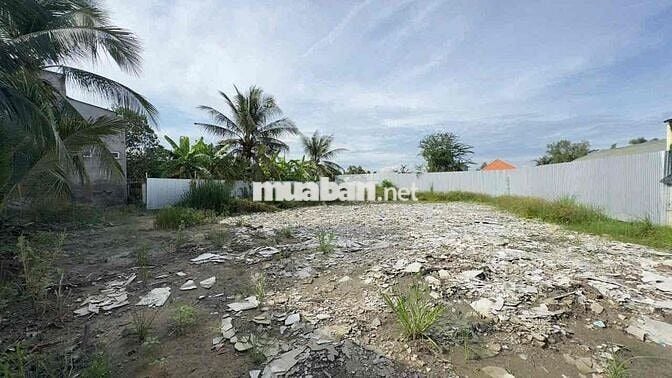 🏡 Bán Đất Mặt Tiền Đường Bà Kiểu 890M2 _ Đường TÂN TẬP & LONG HẬU