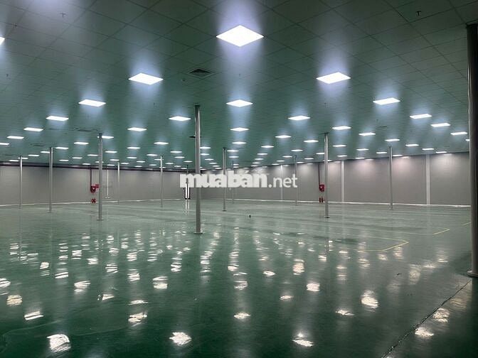 CHO THUÊ KHO CHỨA HÀNG KCN THỌ QUANG, SƠN TRÀ , ĐẦY ĐỦ PCCC