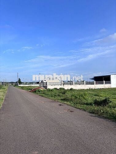 Cơ hội sở hữu lô đất đẹp 126M2  ngay cửa ngõ CT Biên Hòa - Vũng Tàu!