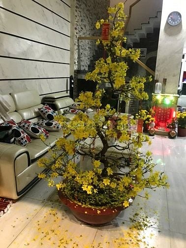 nhà 2 mặt tiền Mai Xuân Thưởng quân 6. 0903982984